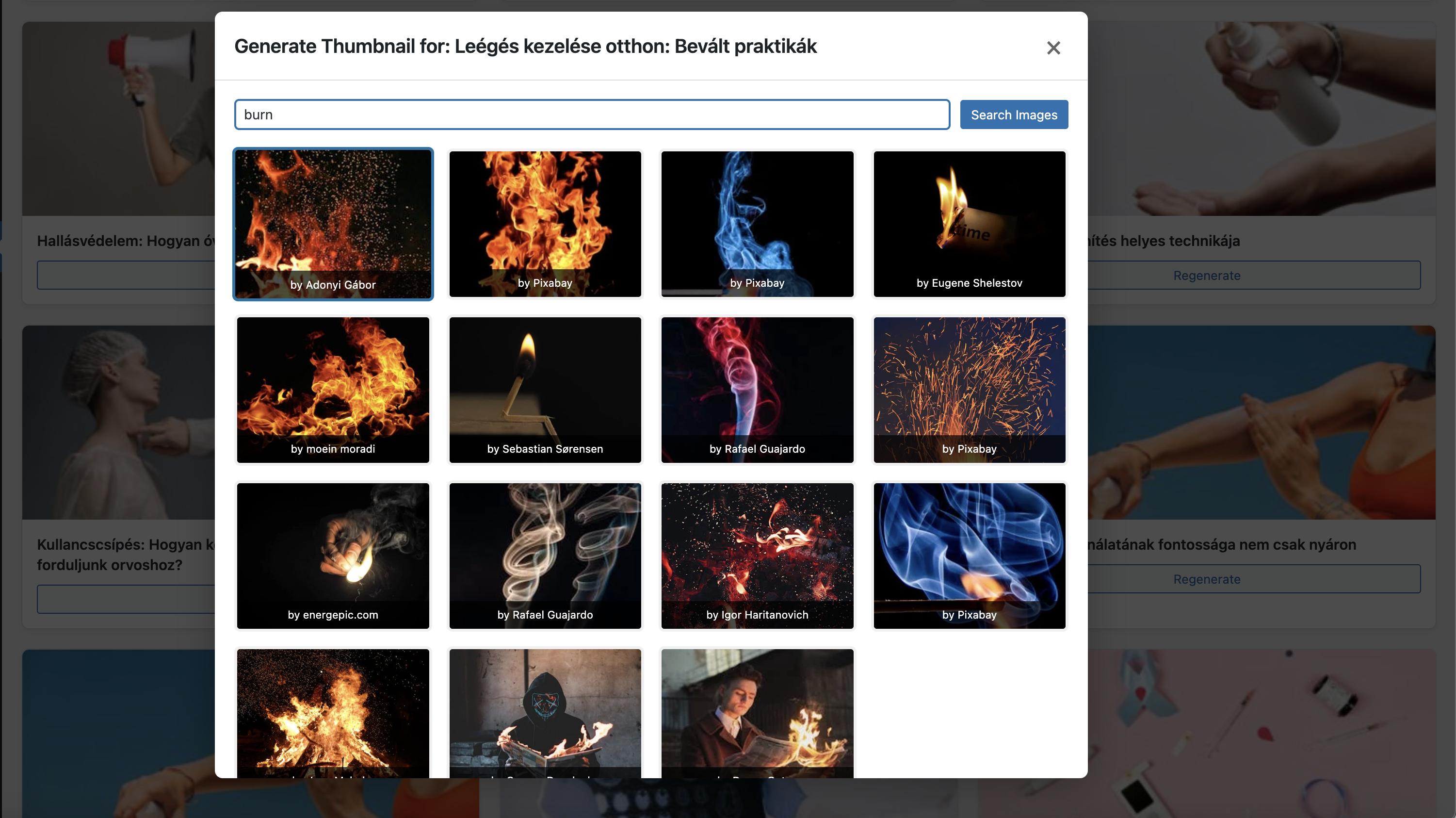 Thumbnail Manager image selection