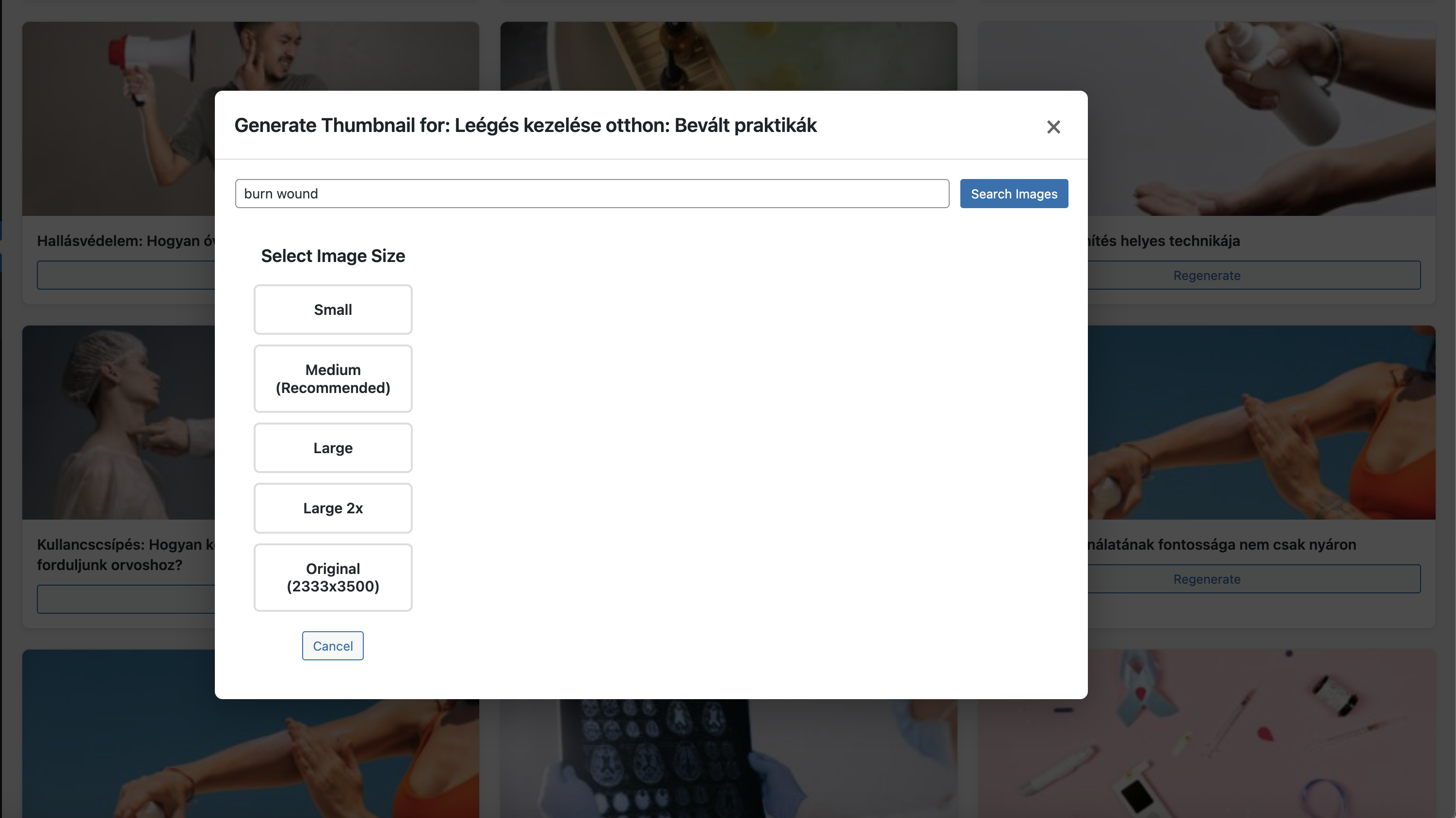 Thumbnail Manager size selection modal